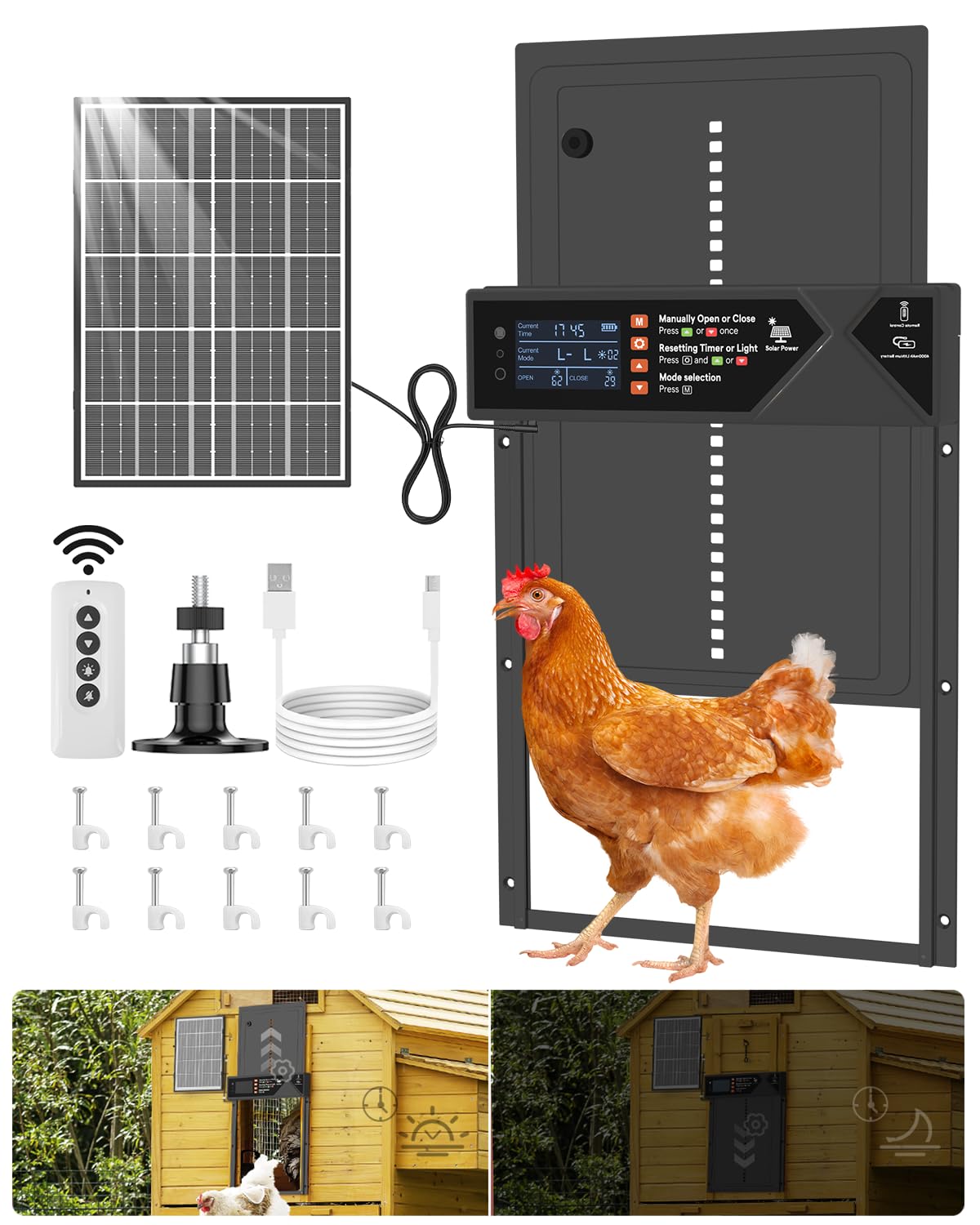 AsFrost large automatic chicken coop door, front view, smooth aluminum build enabling easy poultry entry.