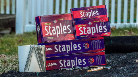 AshmanOnline sturdy enclosure box storage keeps staples safe for years
