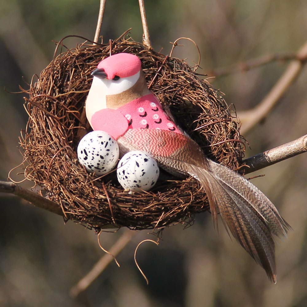 Asikkon garden nest decor adds rustic charm.