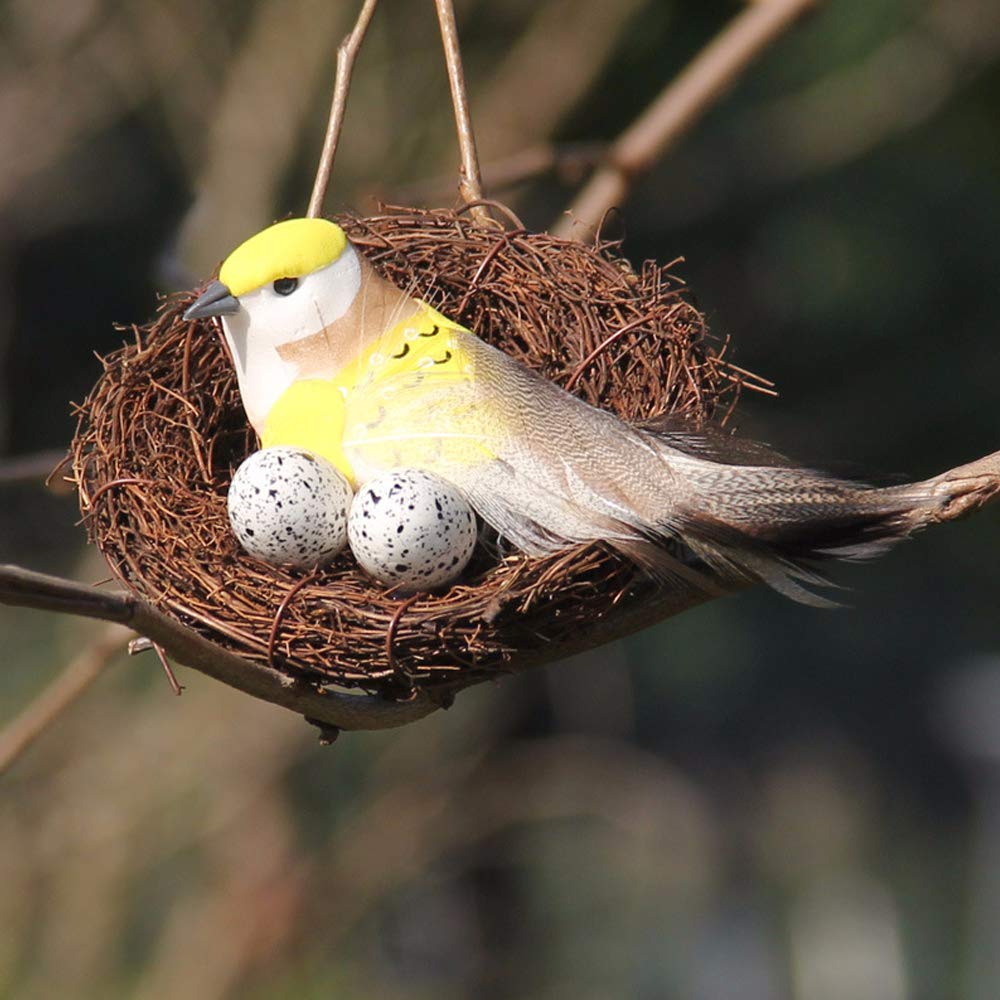 Asikkon nest packaging shows single nest.