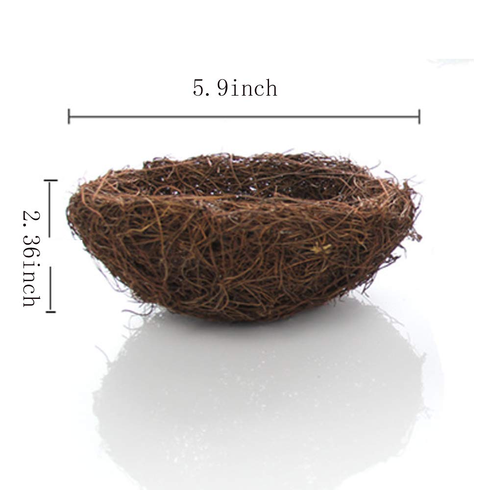 Asikkon bird nest 5.9-inch diameter ideal garden party centerpiece.