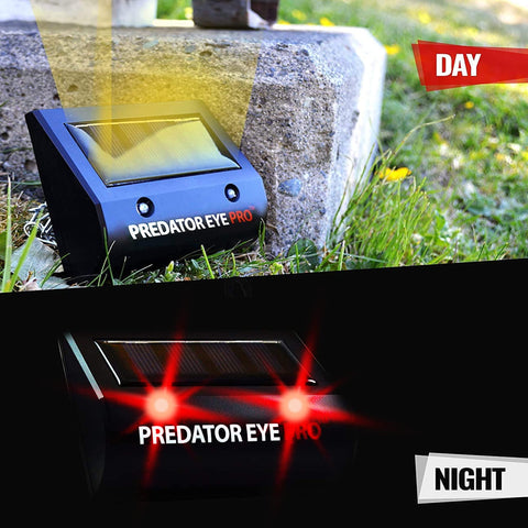 ASPECTEK Predator Eye PRO solar light rear view showing weatherproof housing