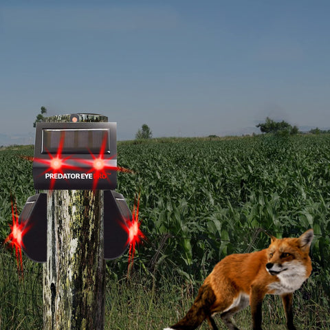 ASPECTEK Predator Eye PRO two flashing red lights signal deterrence