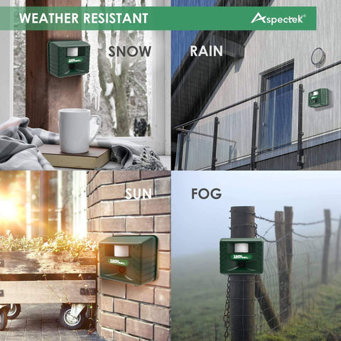 ASPECTEK Yard Sentinel 2-Pack ambient night-use shows night-time deterrence