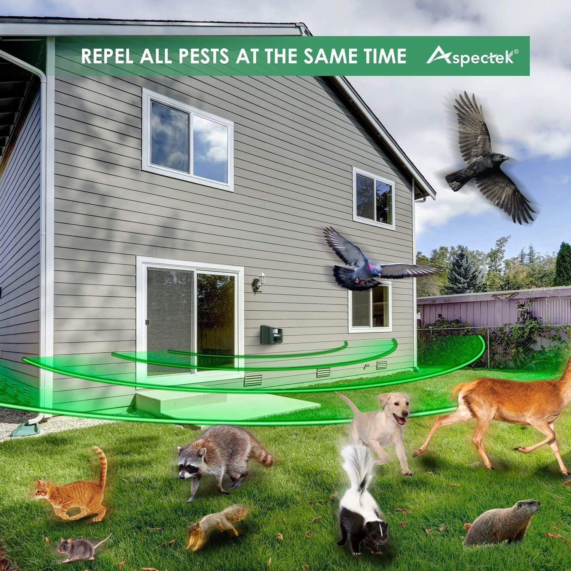 ASPECTEK Yard Sentinel 2-Pack side view highlights compact, weatherproof housing
