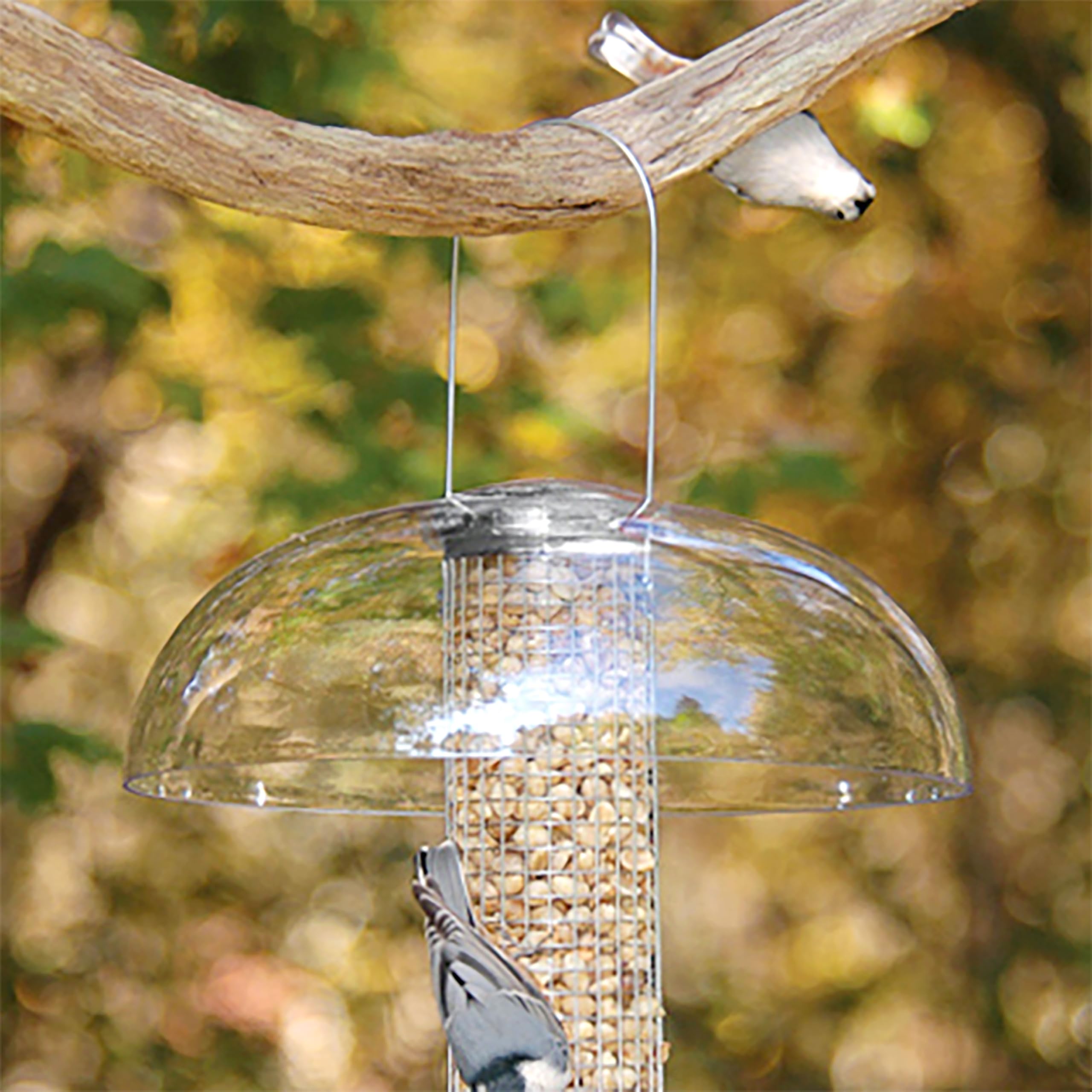Aspects 281 durable dome construction for outdoor use