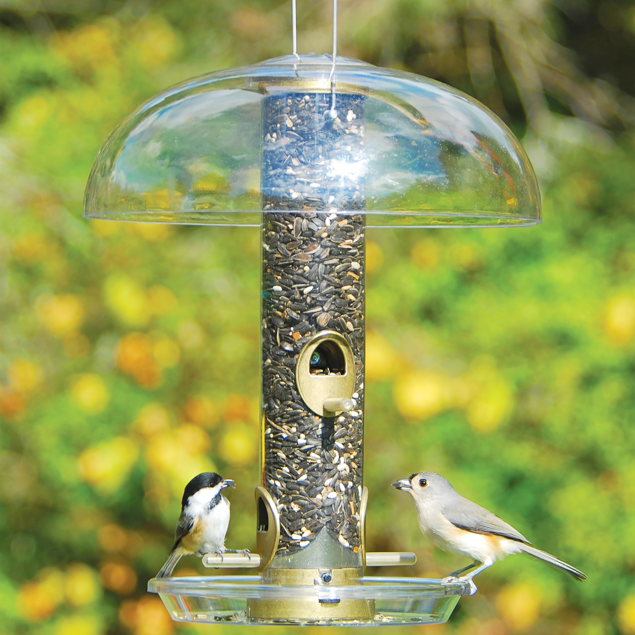 Aspects 281 weather protection dome shields feeder from rain and wind