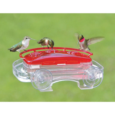 Aspects 407 Jewel Box feeder perch invites birds to rest as they sip nectar.