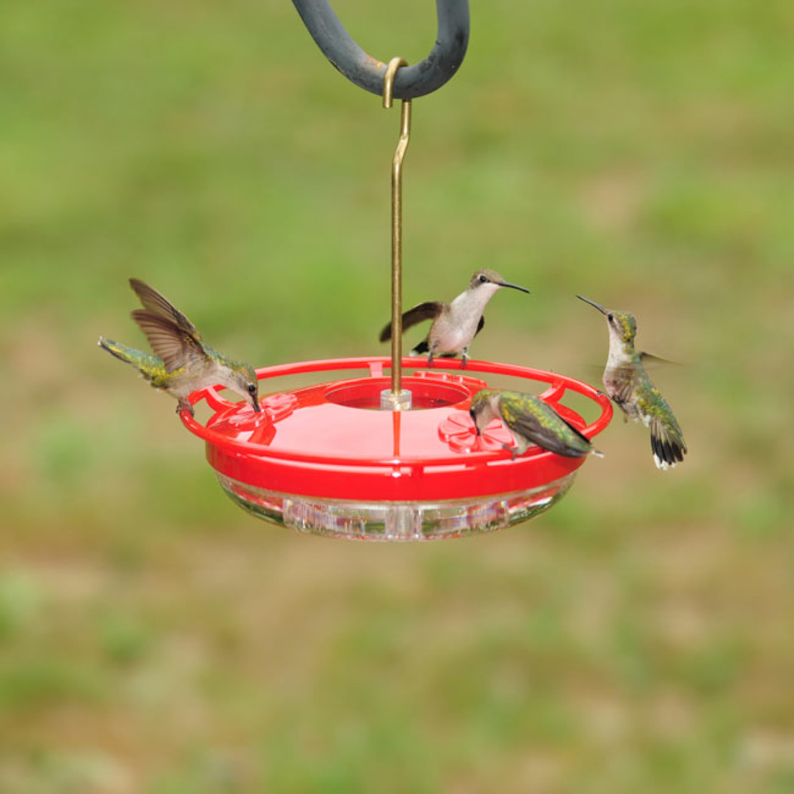 Aspects 430 Hummzinger holds 8 oz for longer feeding sessions