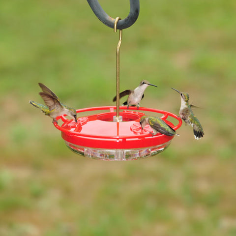 Aspects 430 Hummzinger holds 8 oz for longer feeding sessions