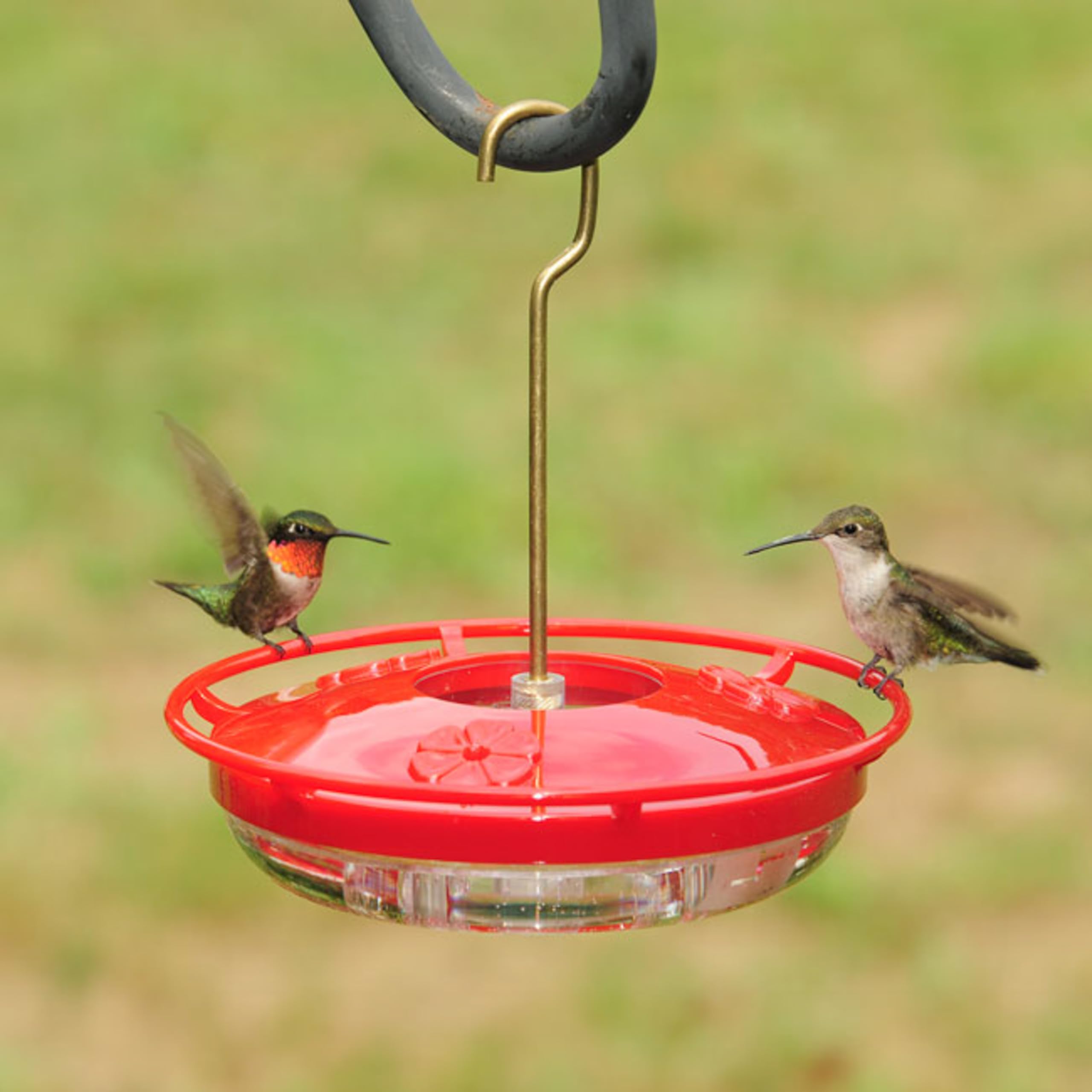 Aspects 430 Hummzinger feeder shows three ports for simultaneous hummingbird feeding