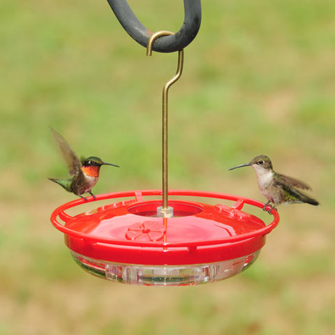 Aspects 430 Hummzinger feeder shows three ports for simultaneous hummingbird feeding
