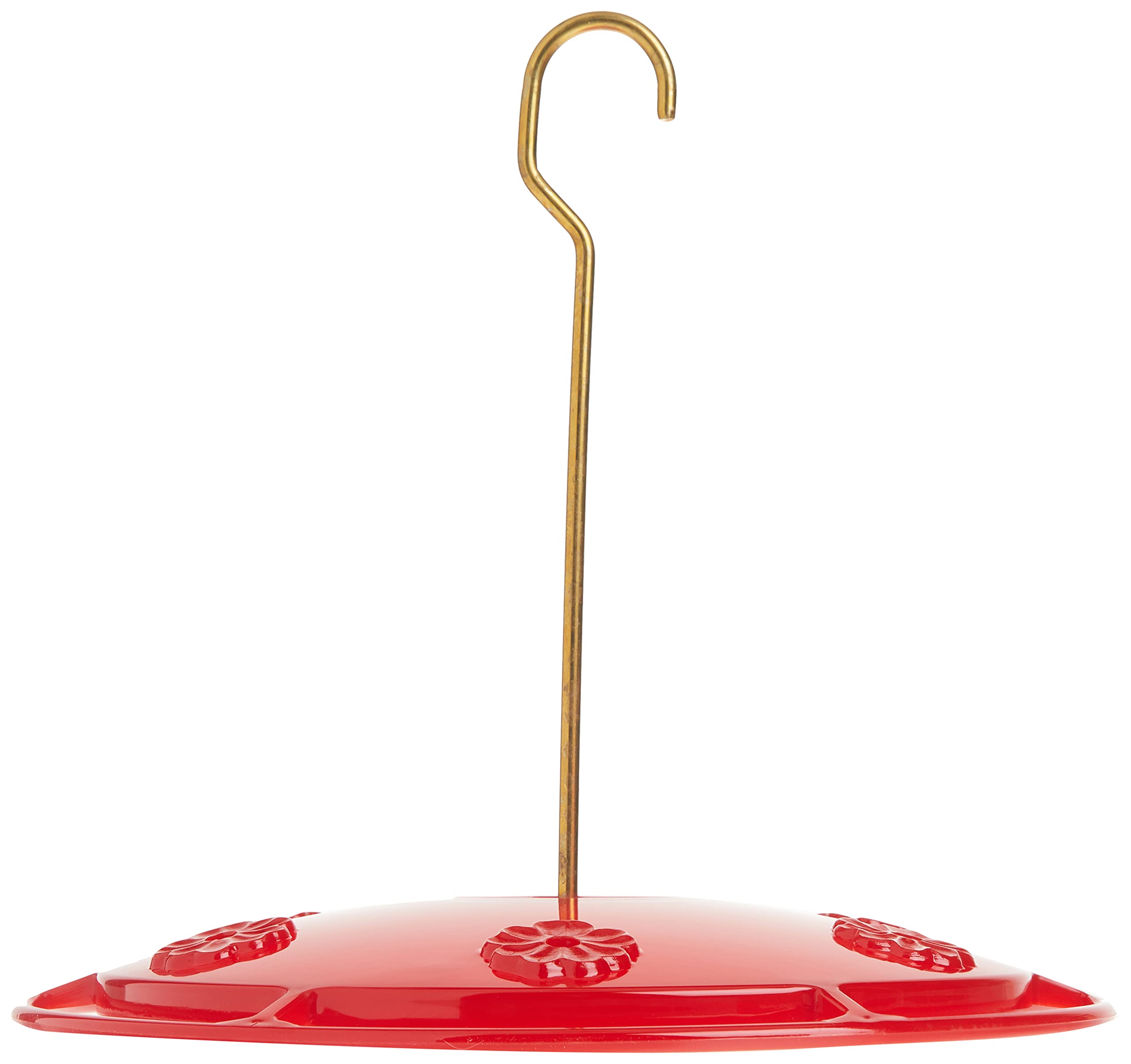 HighView perch offers a clear view while hummingbirds feed