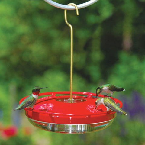 Aspects HummZinger bright red cover: attracts hummingbirds from a distance.