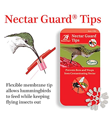 Aspects Hummzinger Nectar Guard Tip mounted on feeder port shows easy slide-on installation