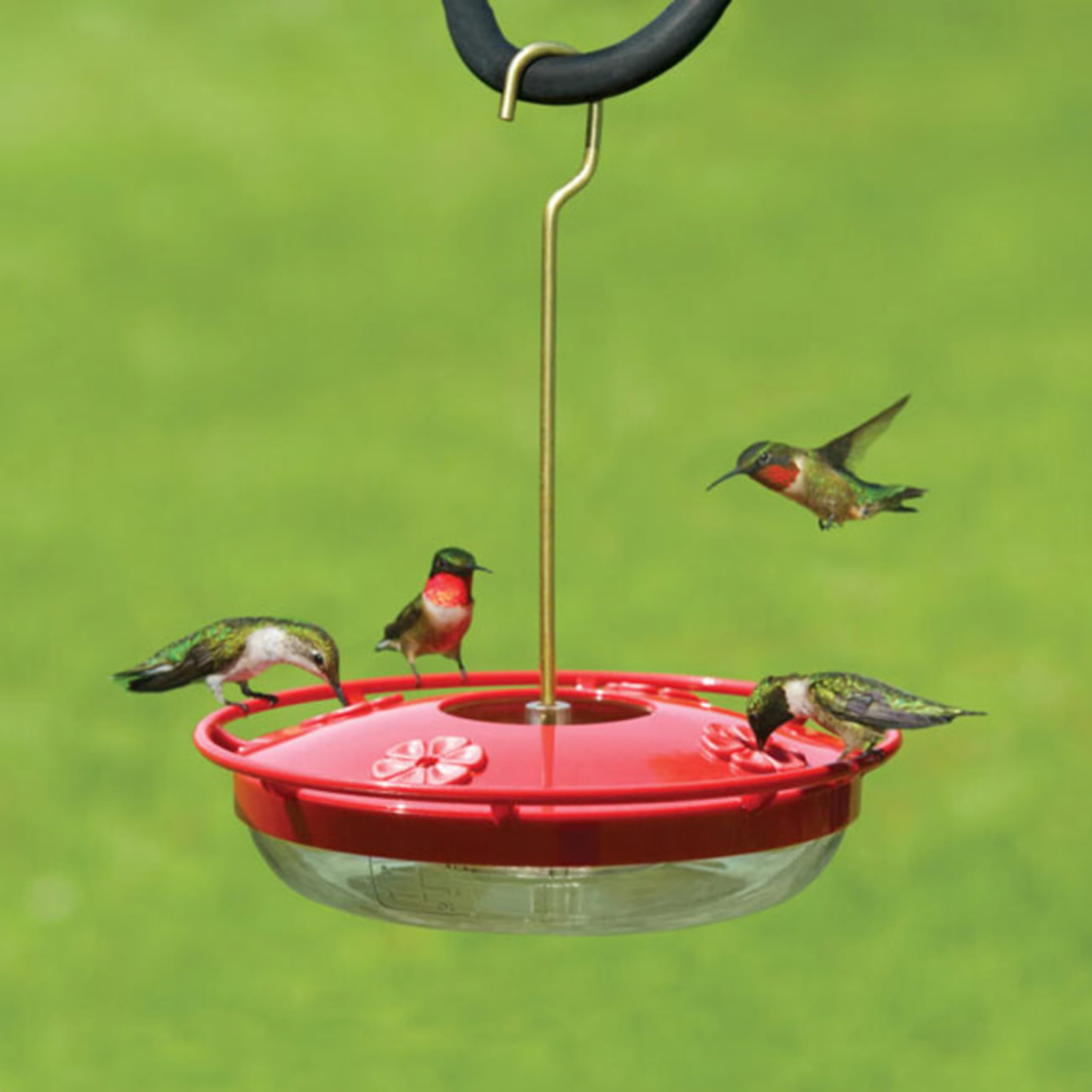 Aspects HummZinger high-view perch: birds rest comfortably as they feed.