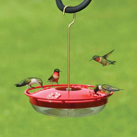 Aspects HummZinger high-view perch: birds rest comfortably as they feed.