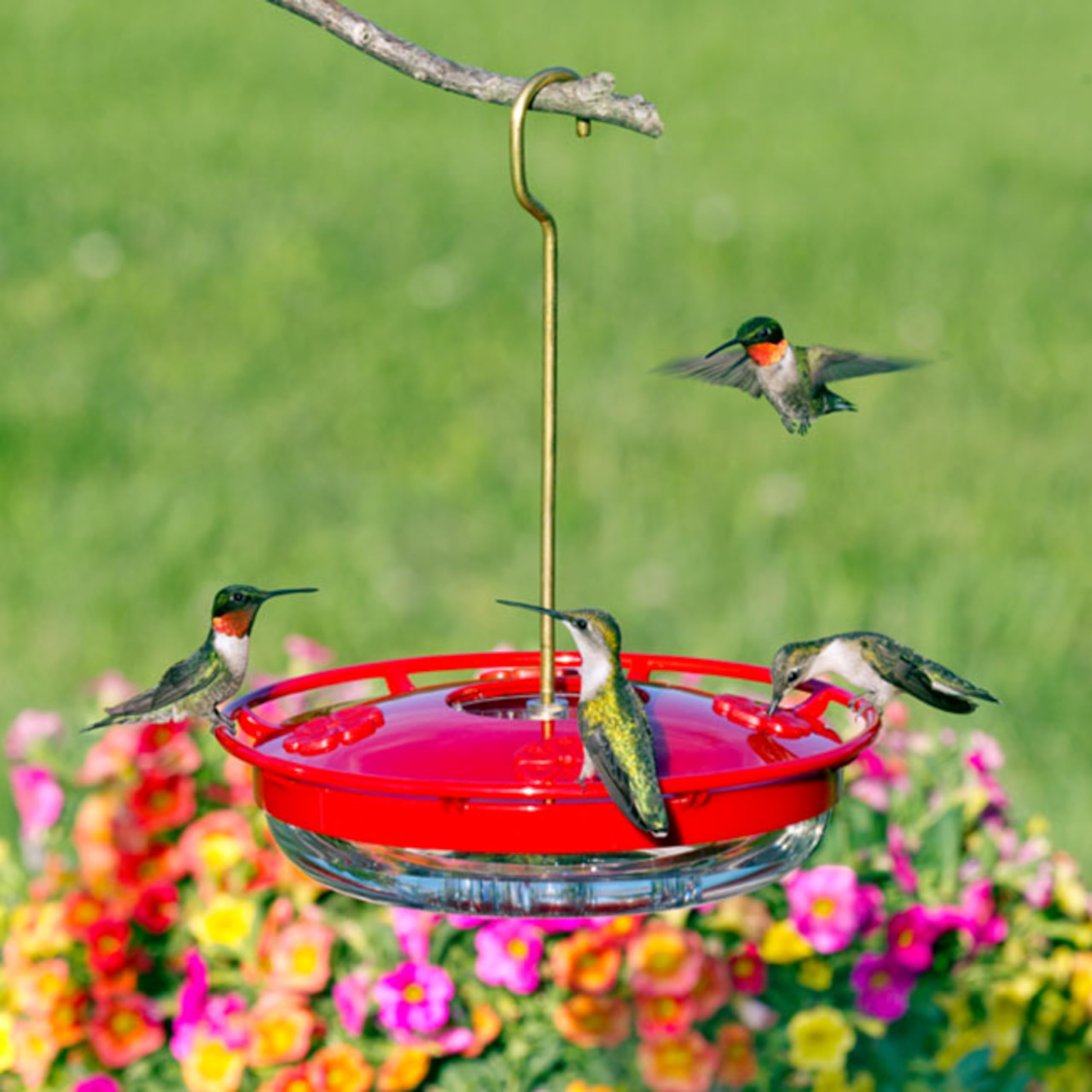 Aspects HummZinger polycarbonate construction: durable, unbreakable outdoor feeder.