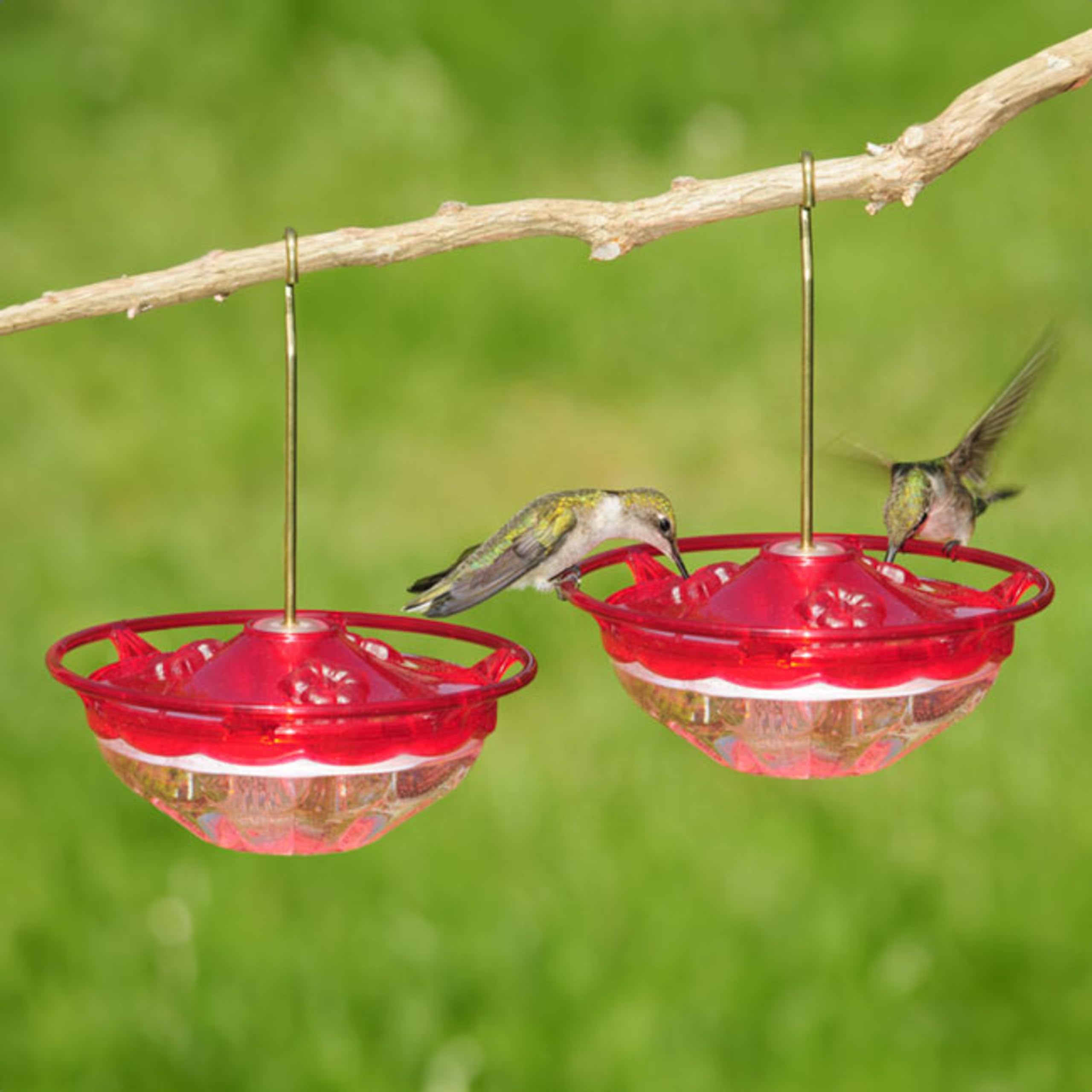 Aspects HummBlossom feeder rose two-pack side view for compact yard setups.