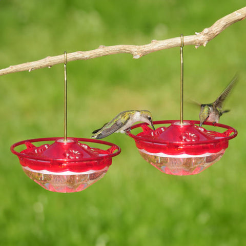 Aspects HummBlossom feeder rose two-pack side view for compact yard setups.