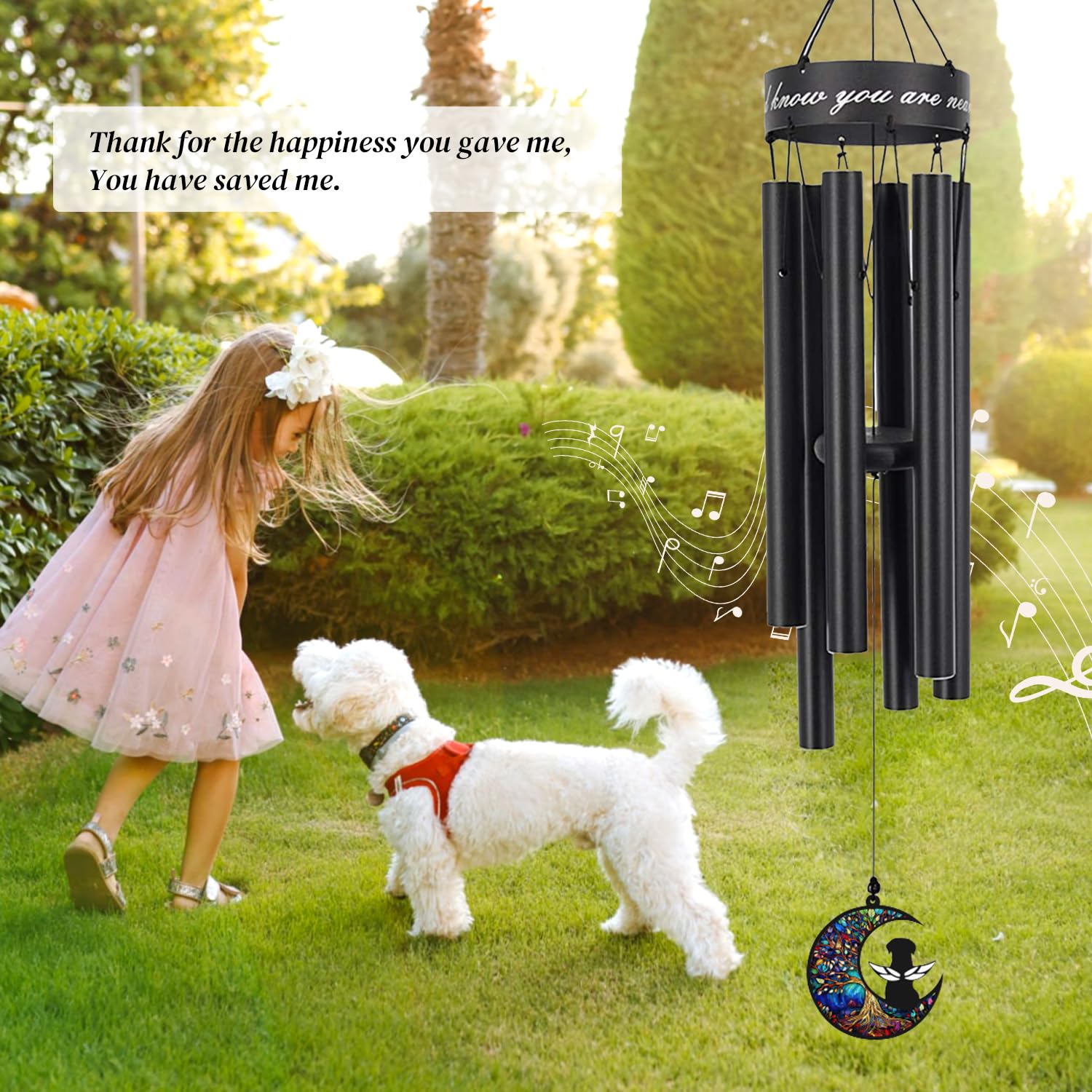 ASTARIN ready-to-hang design for indoor or outdoor display