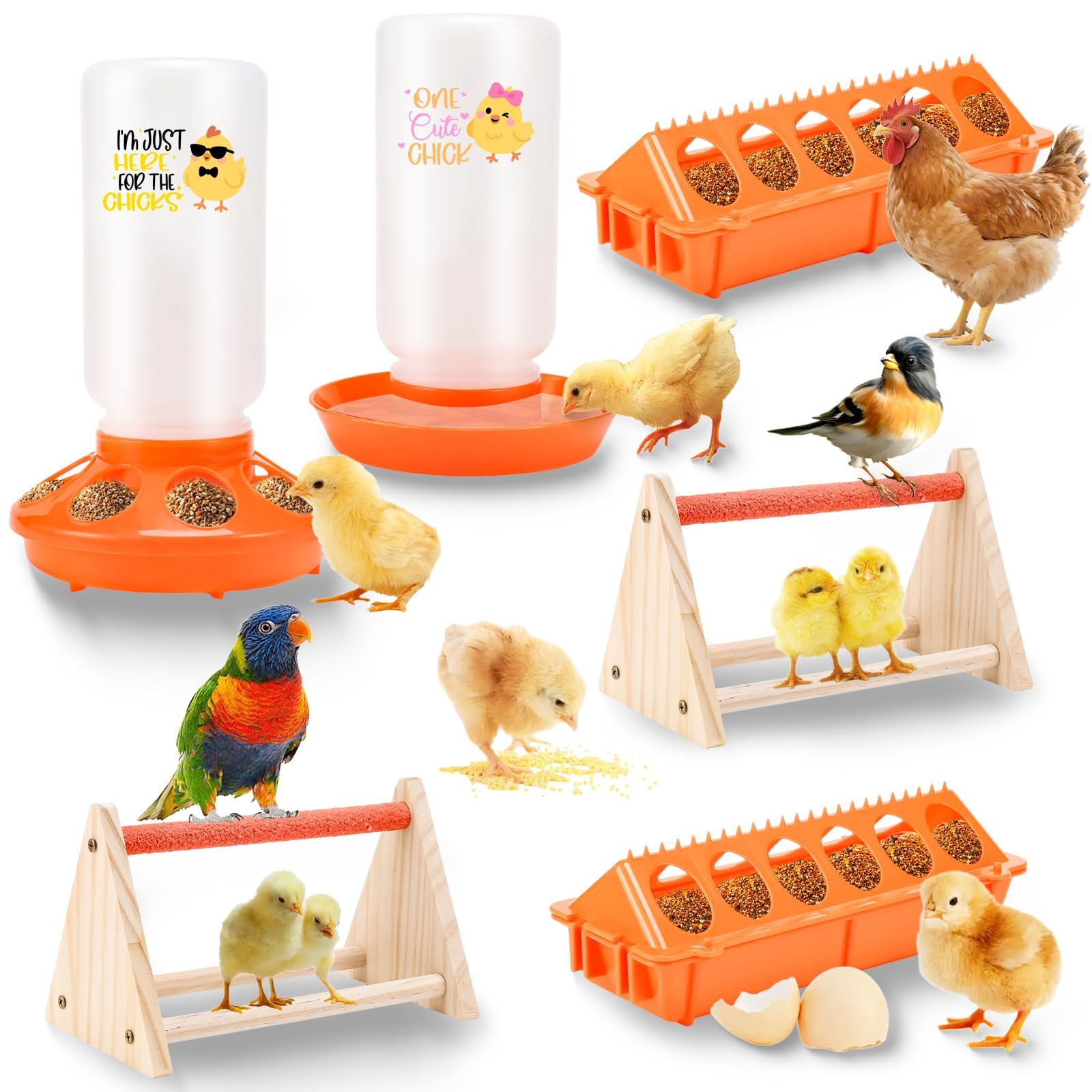 ATHCOHT all-in-one poultry starter kit for chicks, ducks, and quail.