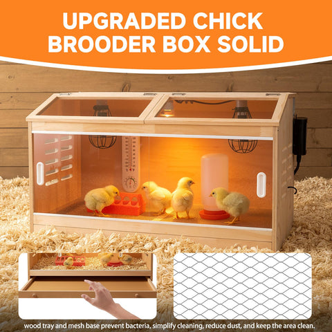 ATHCOHT brooder box lamps and thermostat close-up for stable temperature control.