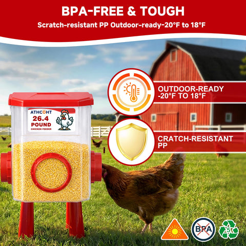ATHCOHT complete poultry care kit included with bands, xylophone, and basket