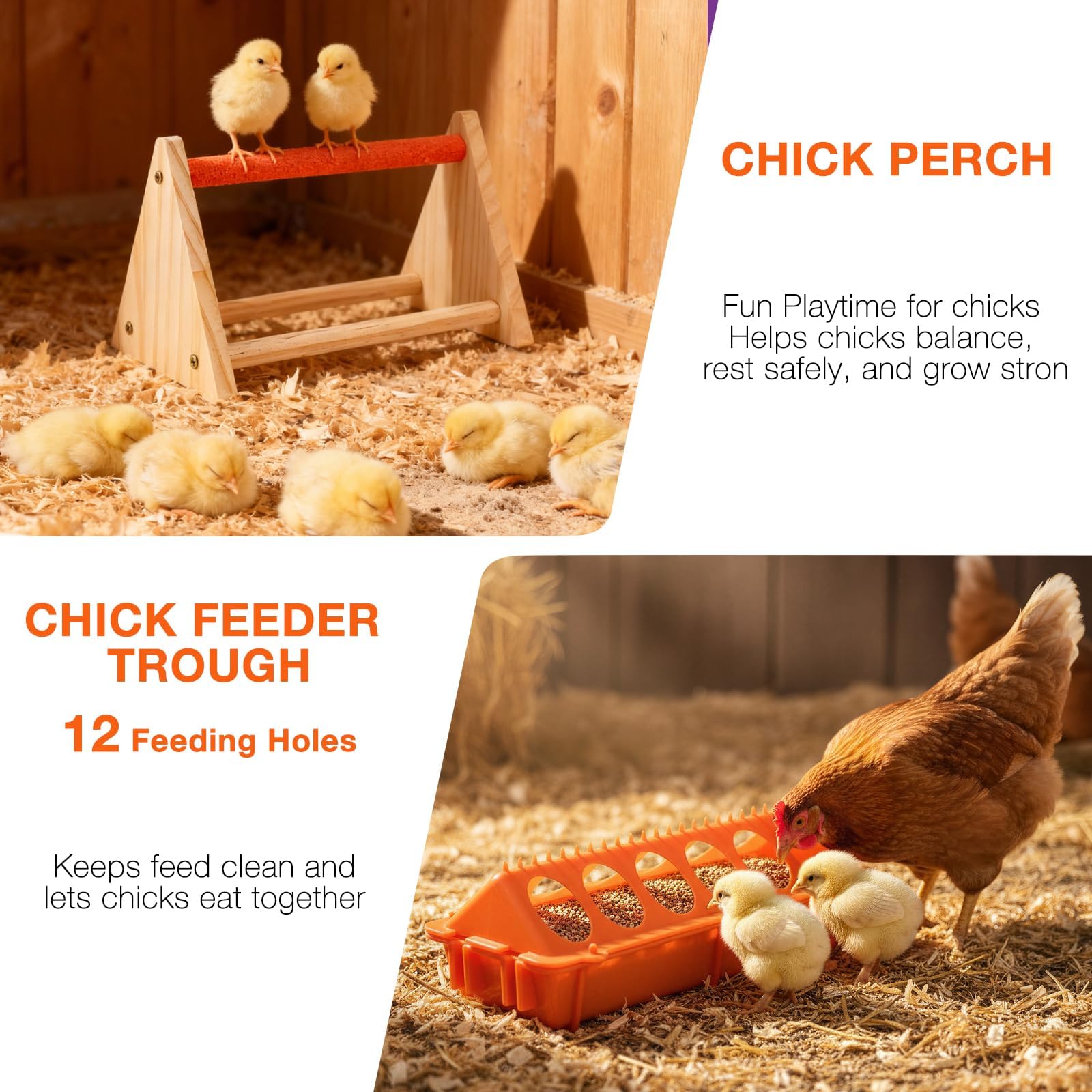 ATHCOHT durable plastic chick feeder and waterer for long-lasting hygiene.