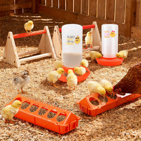 ATHCOHT twelve-hole chick feeder design supports multiple chicks eating together.