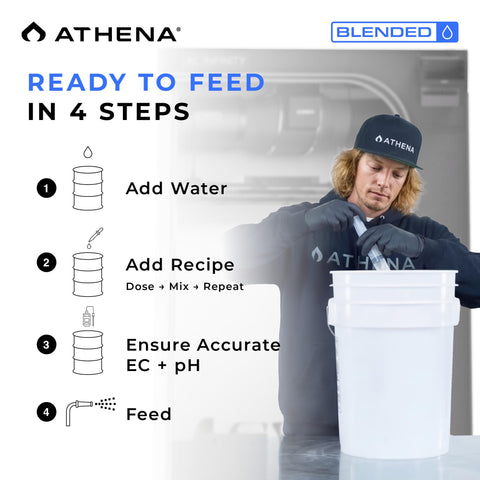 Athena Blended Balance in a hydroponics setup supports uniform nutrient absorption.