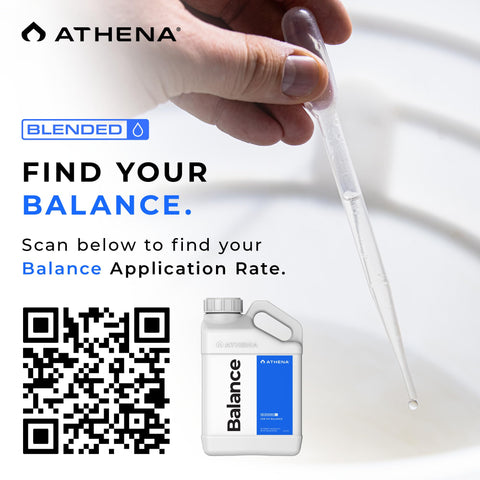 Athena Blended Balance pairing with Grow A&B and Bloom A&B for stable pH.