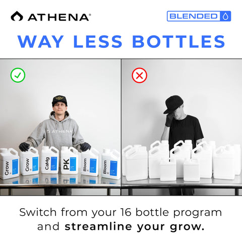 Athena Blended Bloom A&amp;B dissolves completely to prevent reservoir buildup.