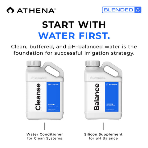Athena Blended Cleanse used on a drip system promotes smoother water flow