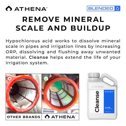 Before and after mineral deposits cleaned with Athena Blended Cleanse