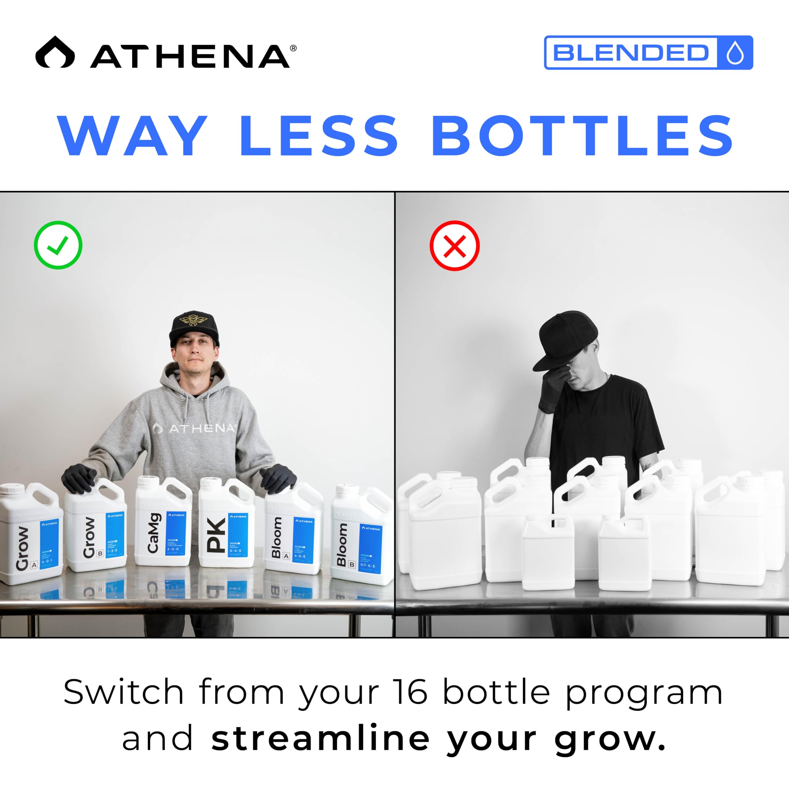 Athena Blended Grow A&B roots and leaves thriving during veg stage.