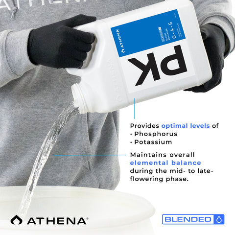 Athena Blended PK plant in soil demonstrates compatibility across media types.