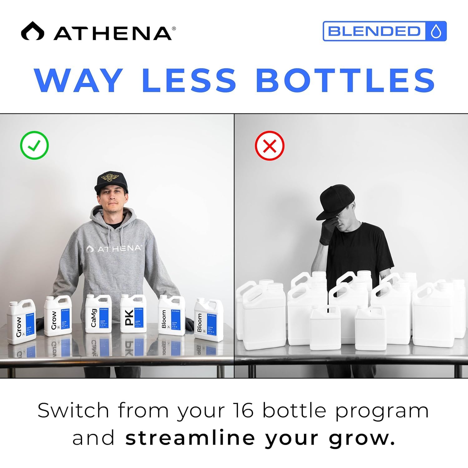 Athena Cal-Mag in hydroponics setup promotes steady uptake
