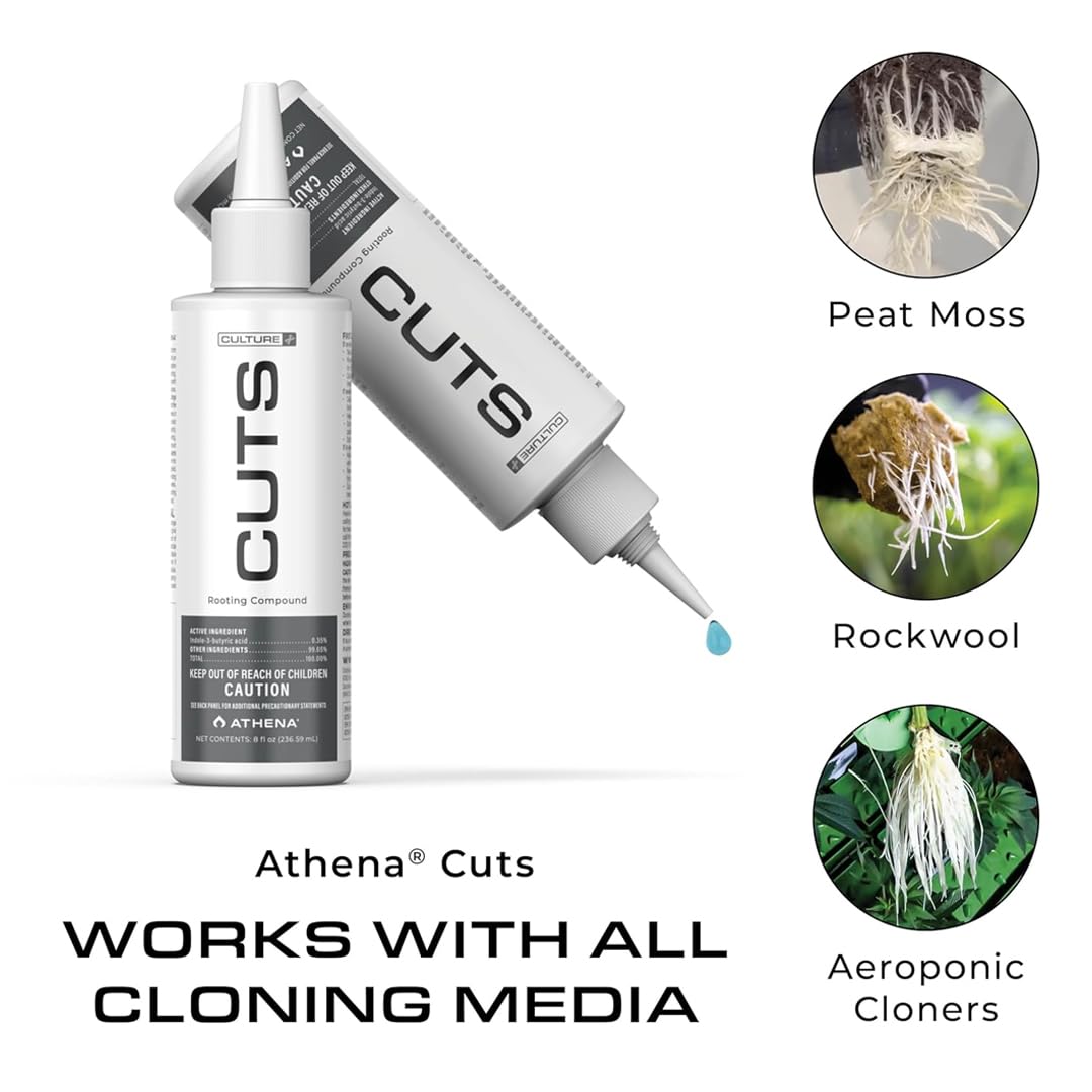 Athena Cuts easy applicator minimizes waste during cloning