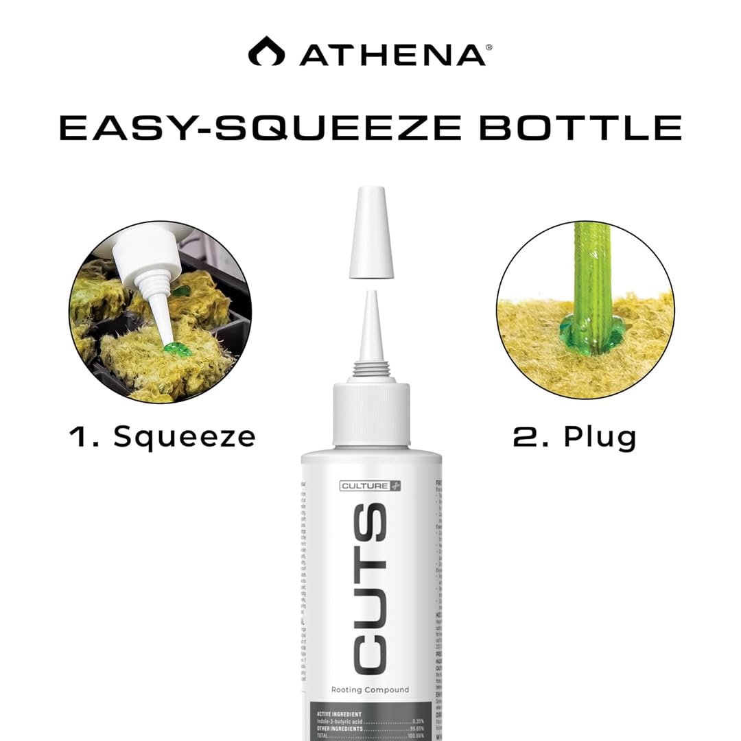 Athena Cuts healthy roots forming for stronger transplanting