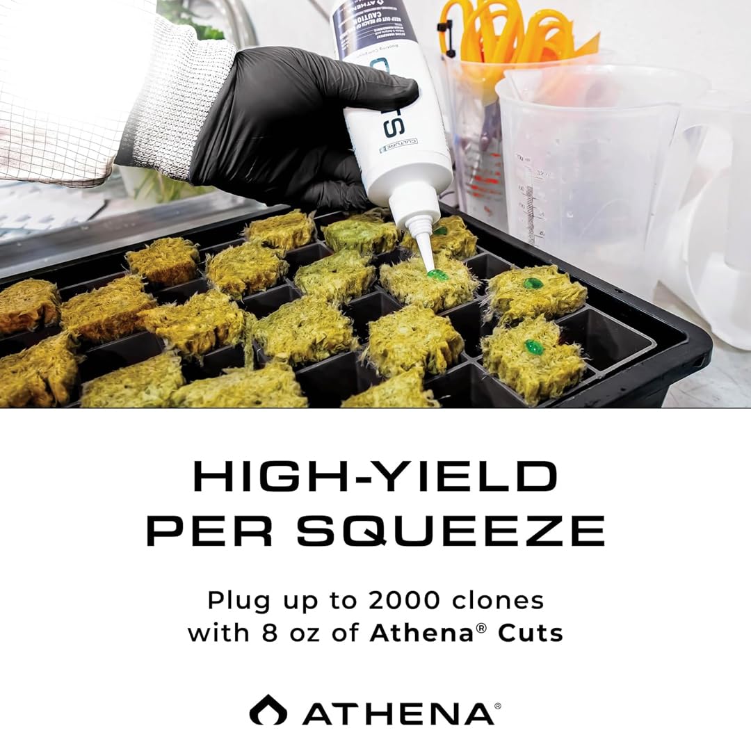 Athena Cuts 8-ounce bottle ready for home propagation