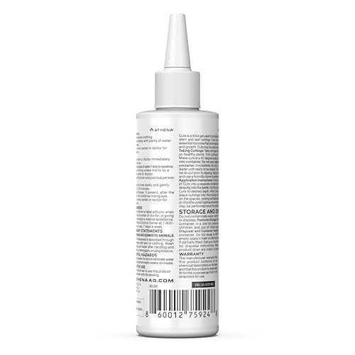 Athena Cuts gel-dipped stem indicates clean propagation steps