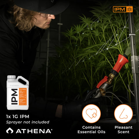 Athena IPM greenhouse and grow room application protects crops across cycles