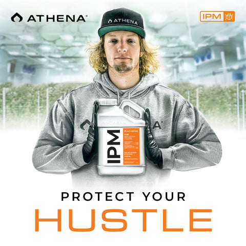 Athena IPM trusted by professional and home growers for reliable pest protection