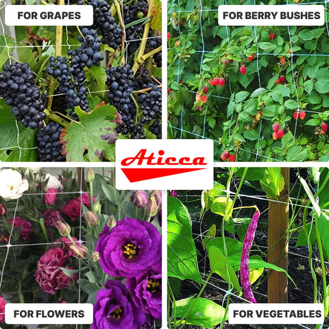 ATICCA heavy-duty plant climbing netting provides a sturdy garden structure.