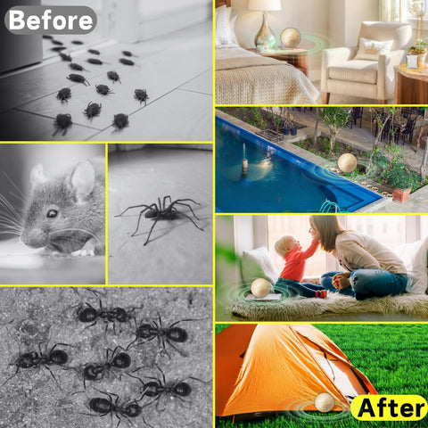 Atindirey peppermint spider ball in storage box protecting items from pests