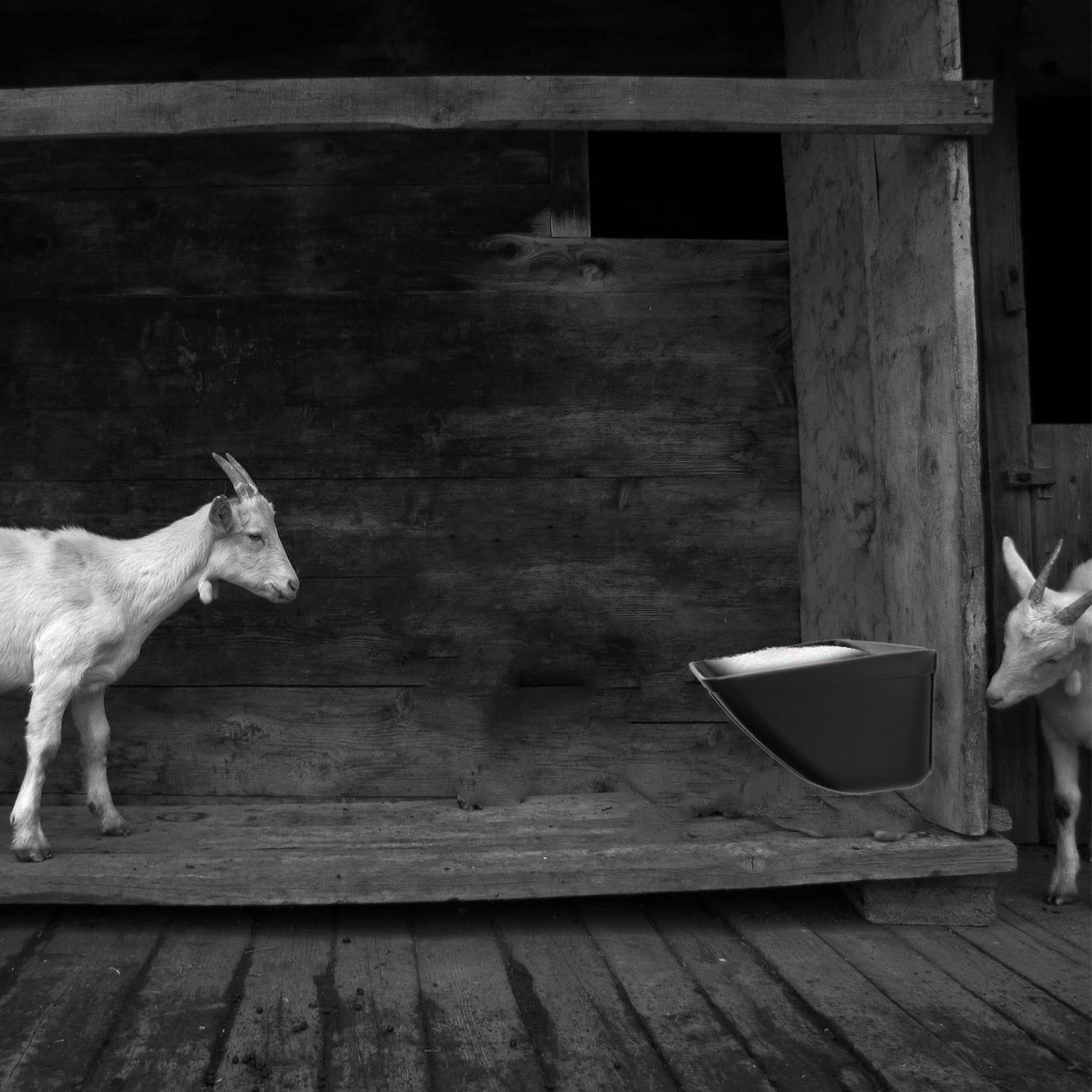 ATKSKYO durable PP material feeder designed for livestock.