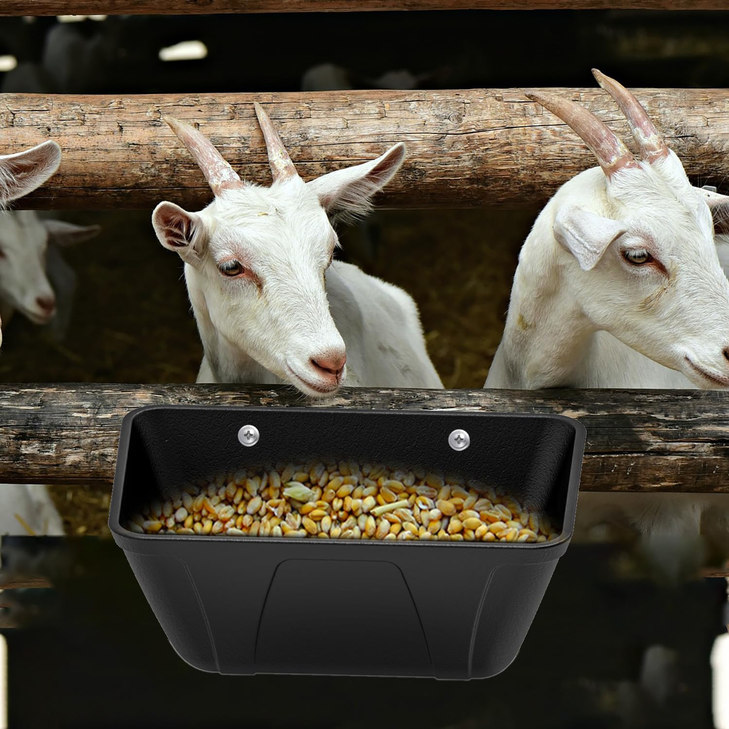 ATKSKYO waterer feeder combo supports fresh water and supplements.