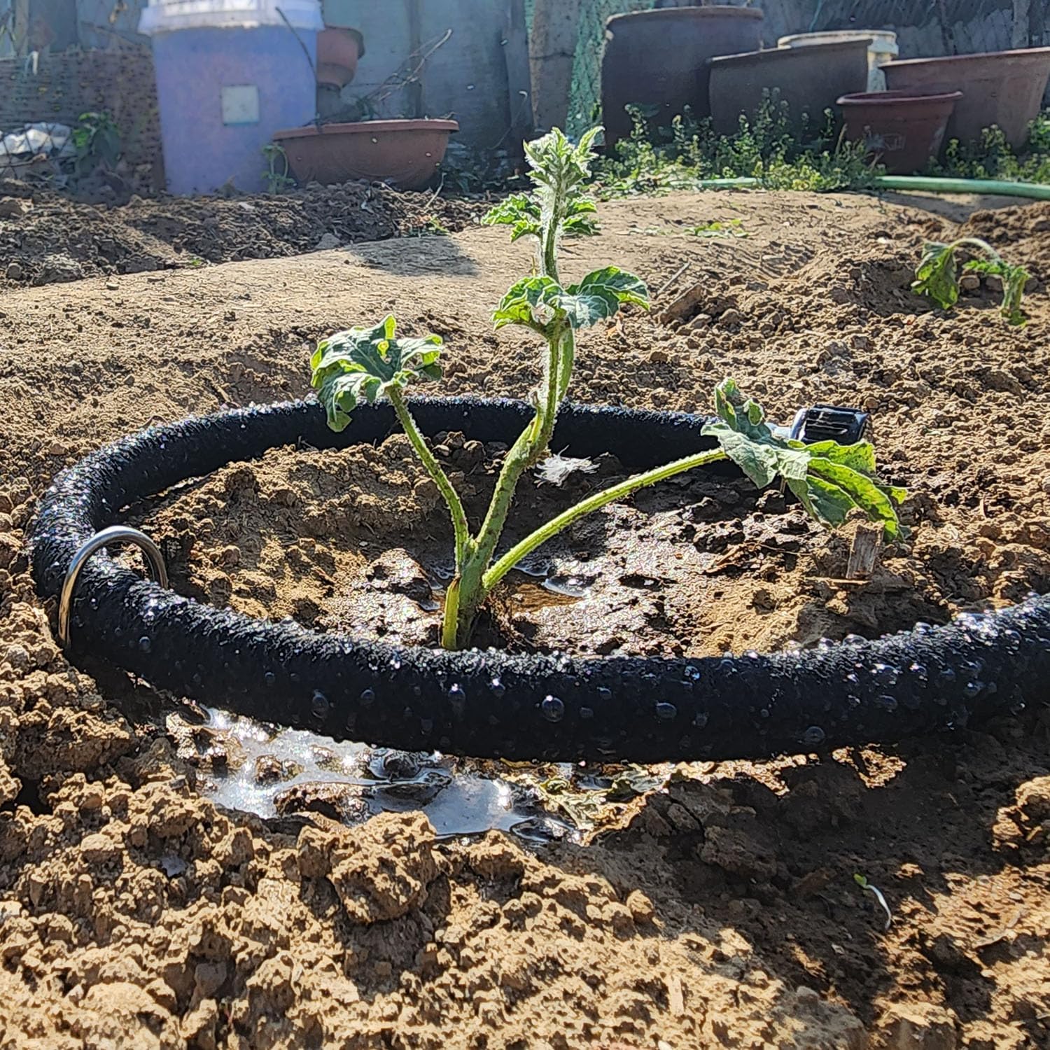 Atlantic brass connectors provide durable, rust-resistant irrigation connections.