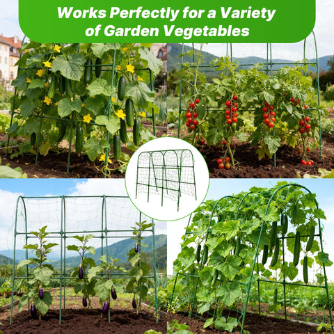ATLIKE arch trellis creates vertical space for cucumbers and beans.